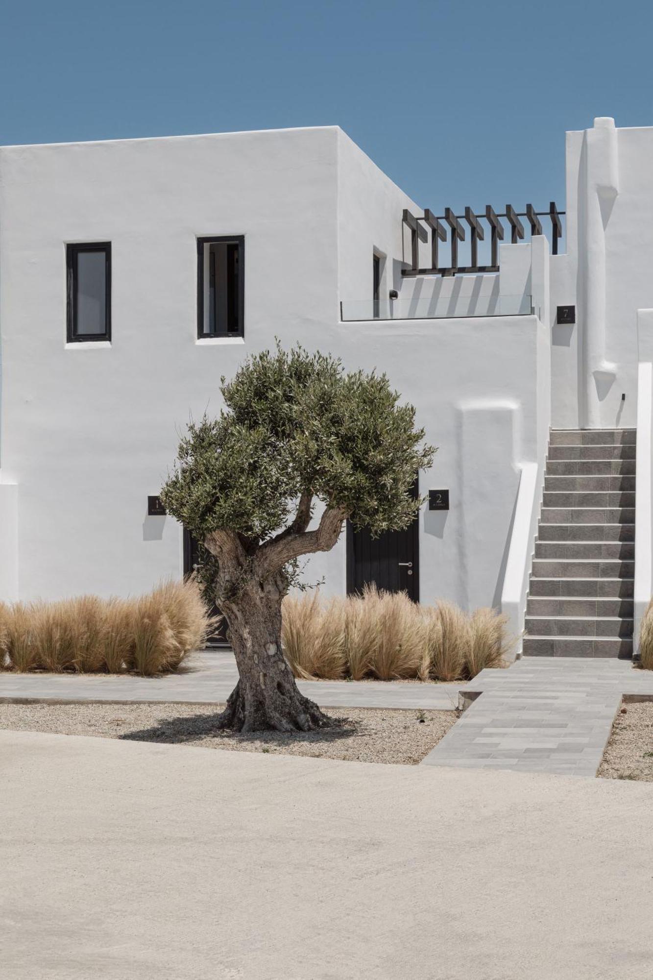 Laguna Suites In Mazera Mykonos Mykonos Town Eksteriør billede